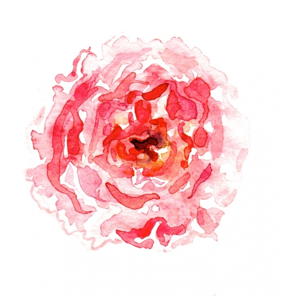 Wedding Flowers Cornwall 4